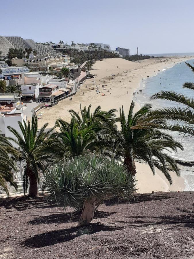 Playa Mirar In Palm Garden Apartment Morro Jable  Exterior photo